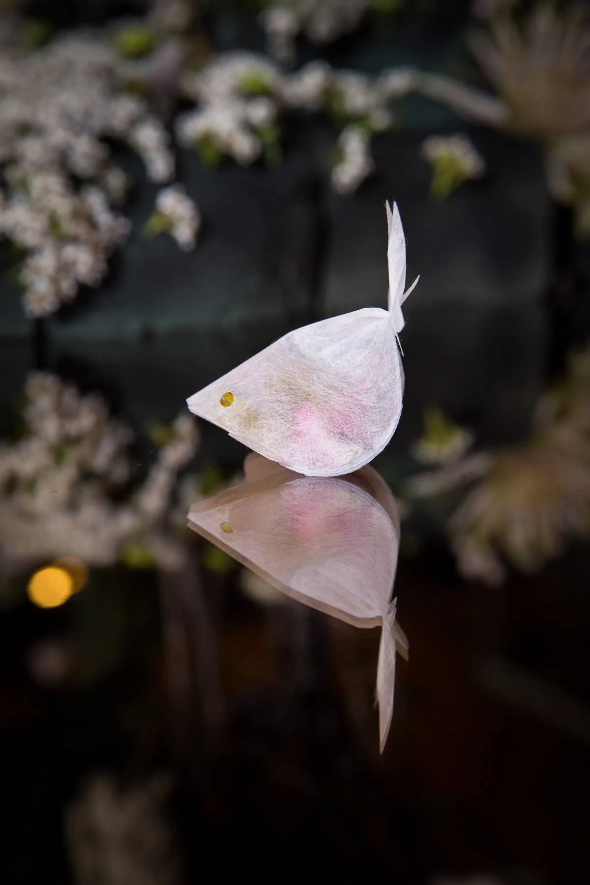 A white paper goldfish on a mirror